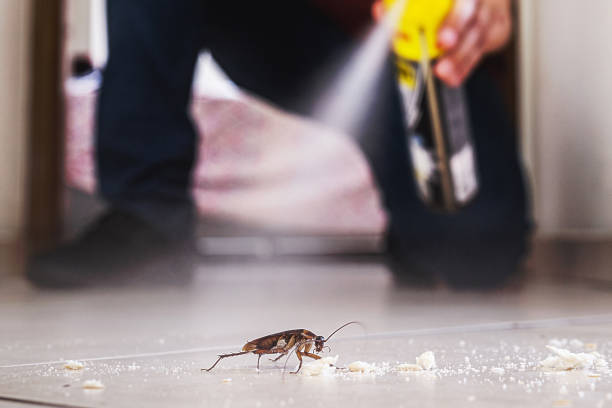 Best Pest Control Near Me  in Aristocrat Ranchettes, CO