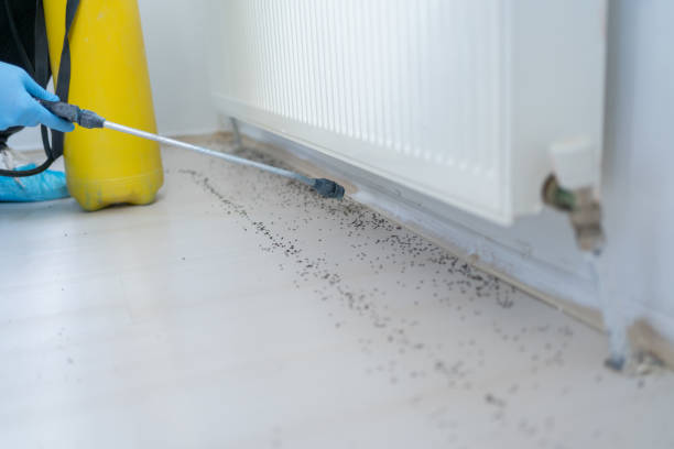 Best Local Pest Control Services  in Aristocrat Ranchettes, CO